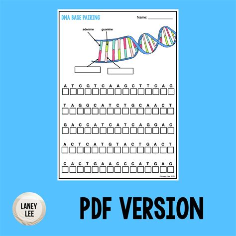 50 Dna Base Pairing Worksheet | Chessmuseum Template Library